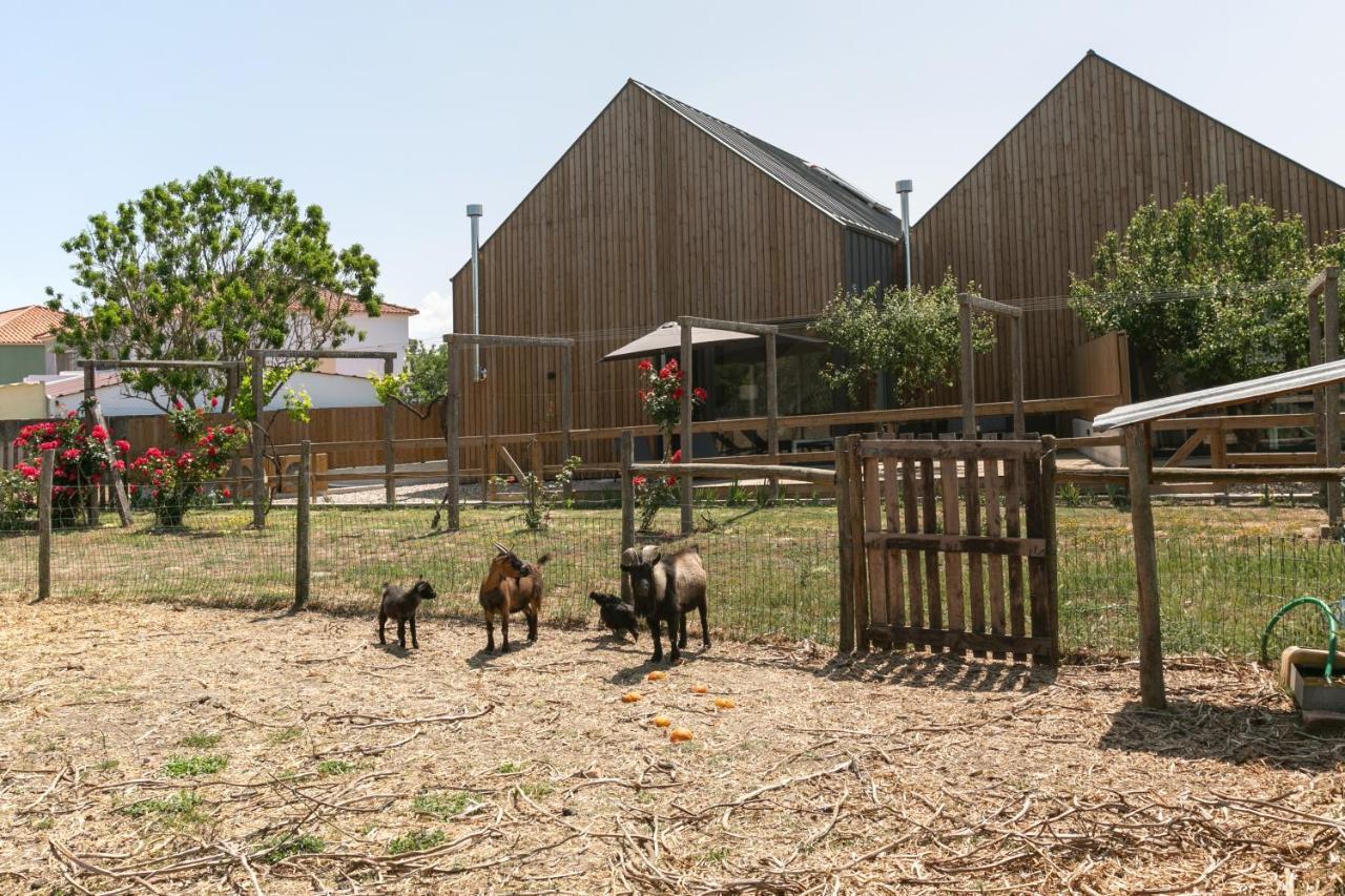 Villa Arneiro 1 Maçeira 外观 照片